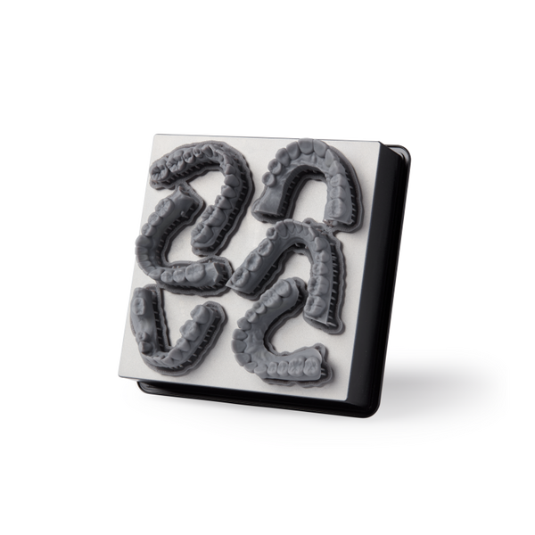 Form 2 Form 3B Build Platform