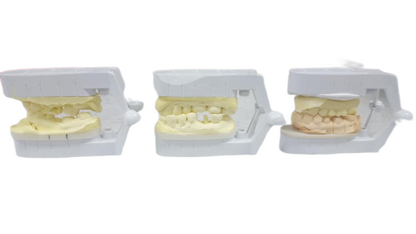 Articulator 45EA per box with pin