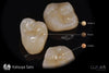 Lunar Universal Stain & Glaze & Gum Kit