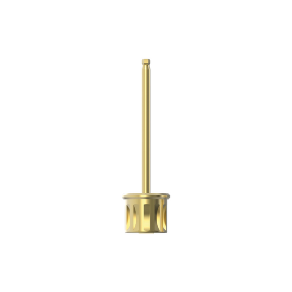 ARUM Clinical Ball Screw Driver Hex – 22mm