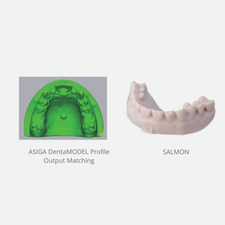 Z-STAR 3D Model Resin – Salmon
