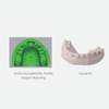 Z-STAR 3D Model Resin – Salmon