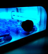 Asiga UV Curing Chamber