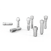 ALPHABIOTEC Internal Hex - Screw